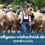 Allgäu Viehscheid - Almauftrieb - Almabtrieb
