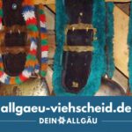 Schellen - Allgäu Viehscheid - Almauftrieb - Almabtrieb