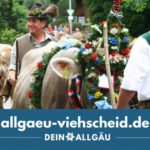 Allgäu Viehscheid - Almauftrieb - Almabtrieb