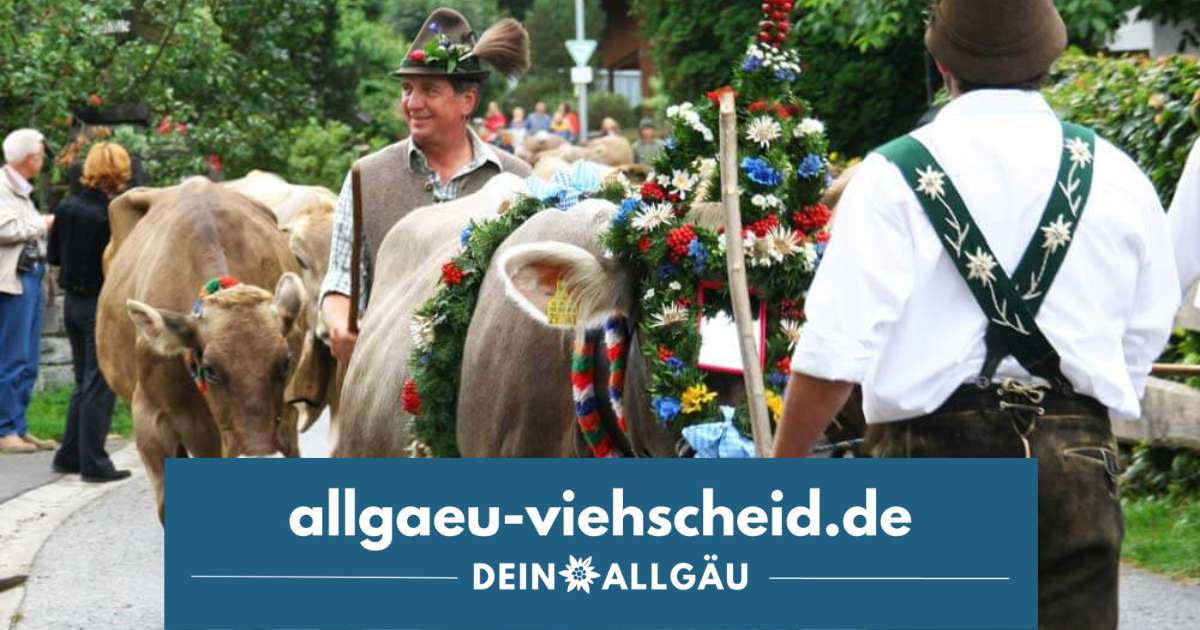 Viehscheid Schöllang Almabtrieb im Allgäu 2025