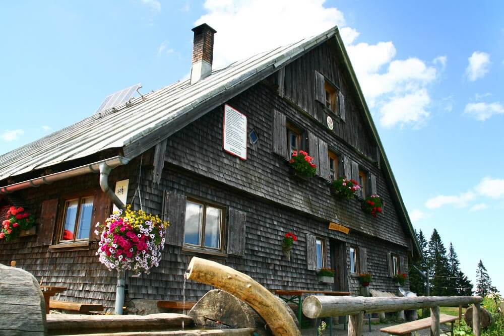 Alpe - Viehscheid / Almabtrieb im Allgäu