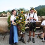 Scheidplatz - Viehscheid / Almabtrieb im Allgäu