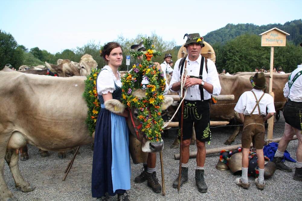 Scheidplatz - Viehscheid / Almabtrieb im Allgäu