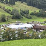 Viehscheid Gunzesried 2025