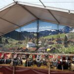 Viehscheid Gunzesried 2025