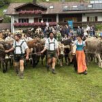 Viehscheid Gunzesried 2025