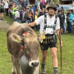 Viehscheid Gunzesried 2025