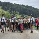 Viehscheid Gunzesried 2025