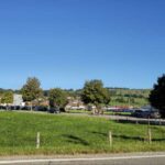 Viehscheid / Almabtrieb in Wertach 2025