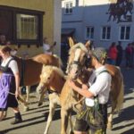 Viehscheid / Almabtrieb in Wertach 2025