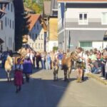Viehscheid / Almabtrieb in Wertach 2025