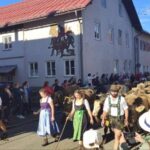 Viehscheid / Almabtrieb in Wertach 2025