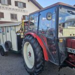 Viehscheid / Almabtrieb in Wertach 2025