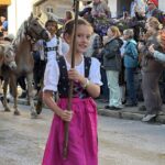 Viehscheid / Almabtrieb in Wertach 2025