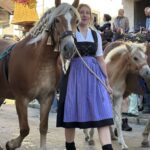 Viehscheid / Almabtrieb in Wertach 2025