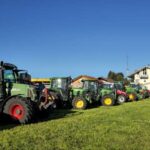 Viehscheid / Almabtrieb in Wertach 2025
