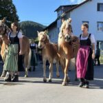 Viehscheid / Almabtrieb in Wertach 2025