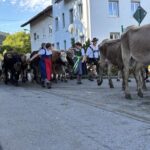 Viehscheid / Almabtrieb in Wertach 2025