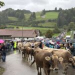 Viehscheid 2025 in Oberstaufen