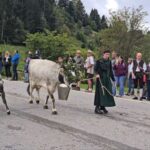 Viehscheid 2025 in Oberstaufen
