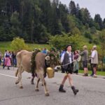 Viehscheid 2025 in Oberstaufen