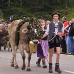 Viehscheid 2025 in Oberstaufen