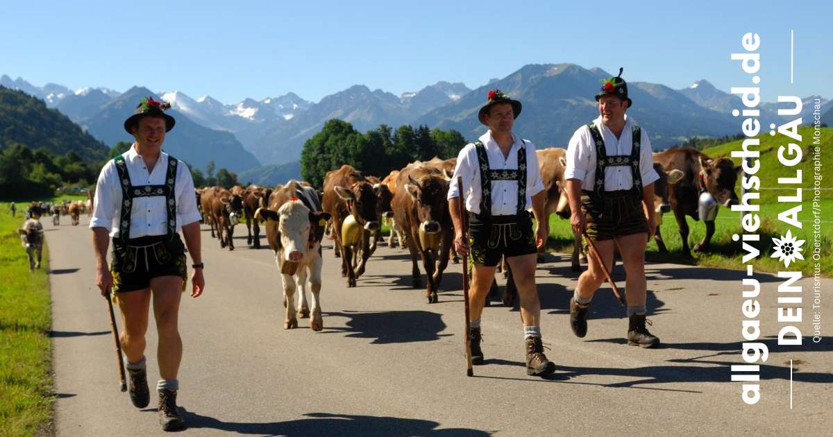 Viehscheid Oberstdorf Almabtrieb im Allgäu / Viehscheid Allgäu 2025