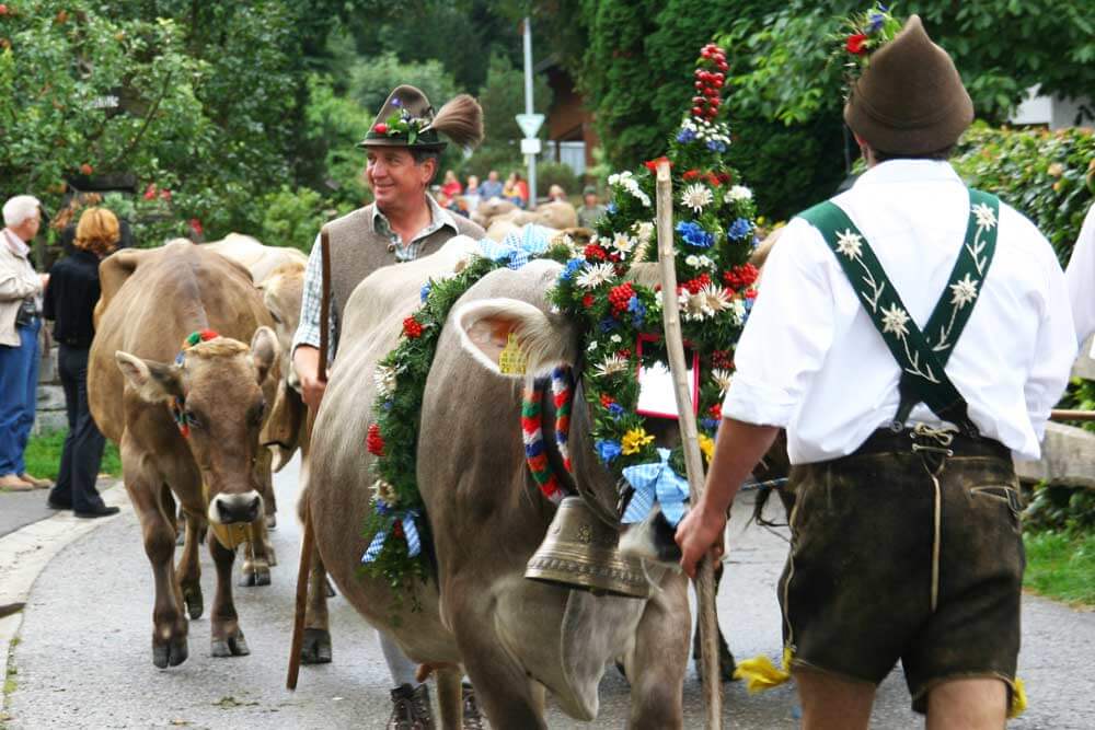 Viehscheid / Almabtrieb im Allgäu