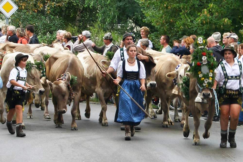 Viehscheid / Almabtrieb im Allgäu